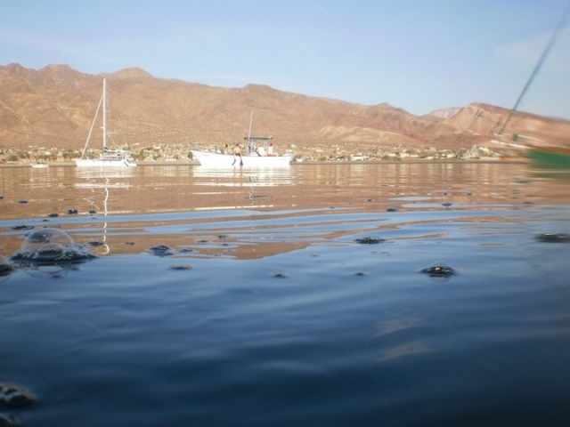 Listos para snorkelear